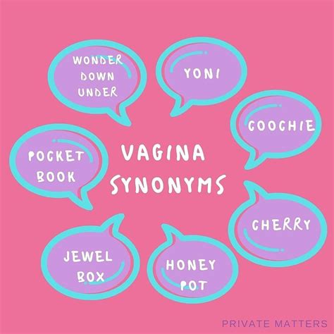 VAGINA Synonyms 